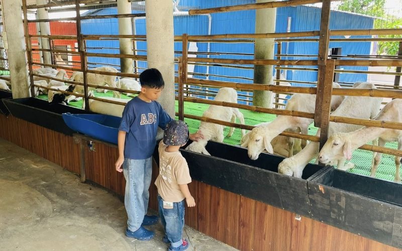 Gozoo Farm có gì chơi mà nhiều gia đình lựa chọn khi đến Vũng Tàu? 3 Gozoo Farm có gì chơi mà nhiều gia đình lựa chọn khi đến Vũng Tàu?